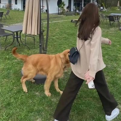 倒转世界